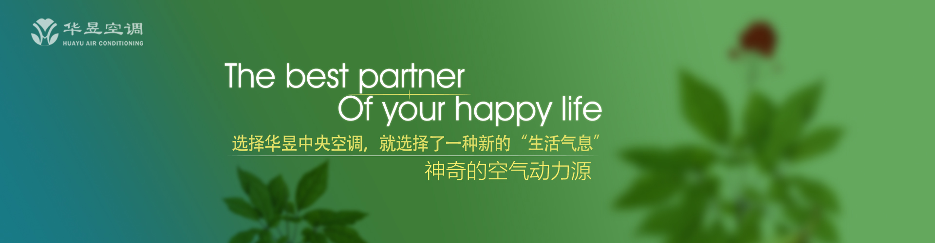 朱雀玄武网